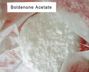 Injectable Steroid Powders Boldenone Acetate Raw Powder